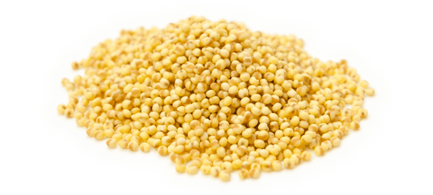 Nutritional Profile of Fox Nuts