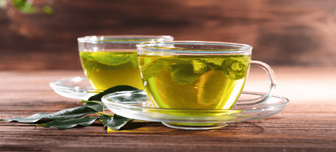 Green Tea: All that You Need To Know