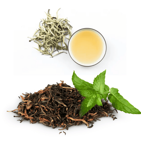 Cup of white tea and green tea side by side showing color and clarity differences for health comparison