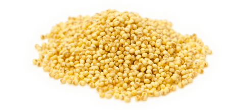 6 Reasons Why Fox Nuts Are the Best For You