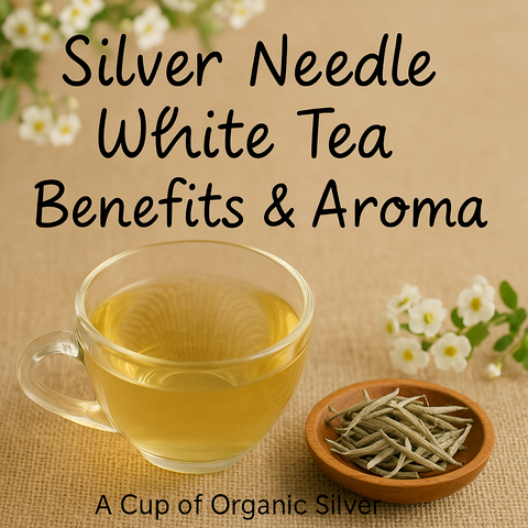 A cup of organic Silver Needle white tea with floral aroma