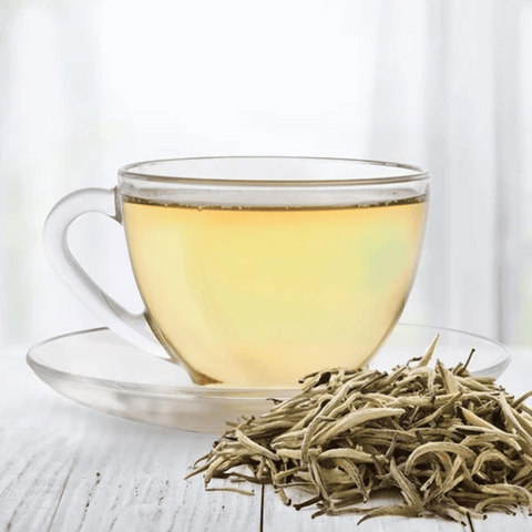 silver needle tea-xiphias superfoods