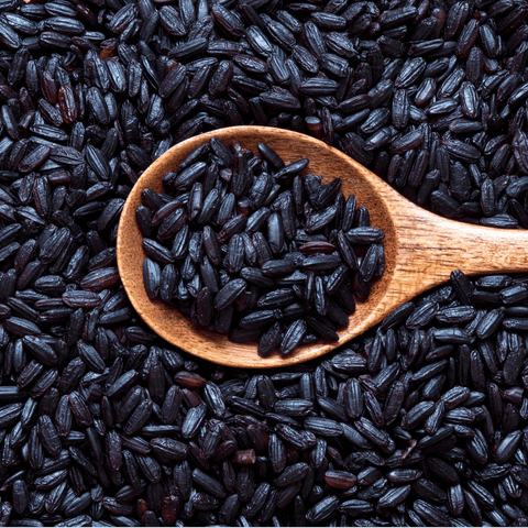 Premium black rice from Xiphias Superfoods, rich in natural antioxidants and fiber.