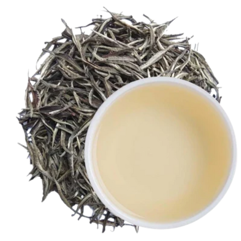Organic Silver Needle White Tea