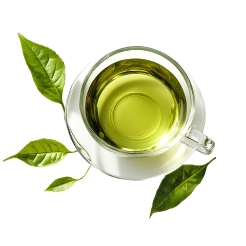 Xiphias Superfoods Premium Green Tea Leaves